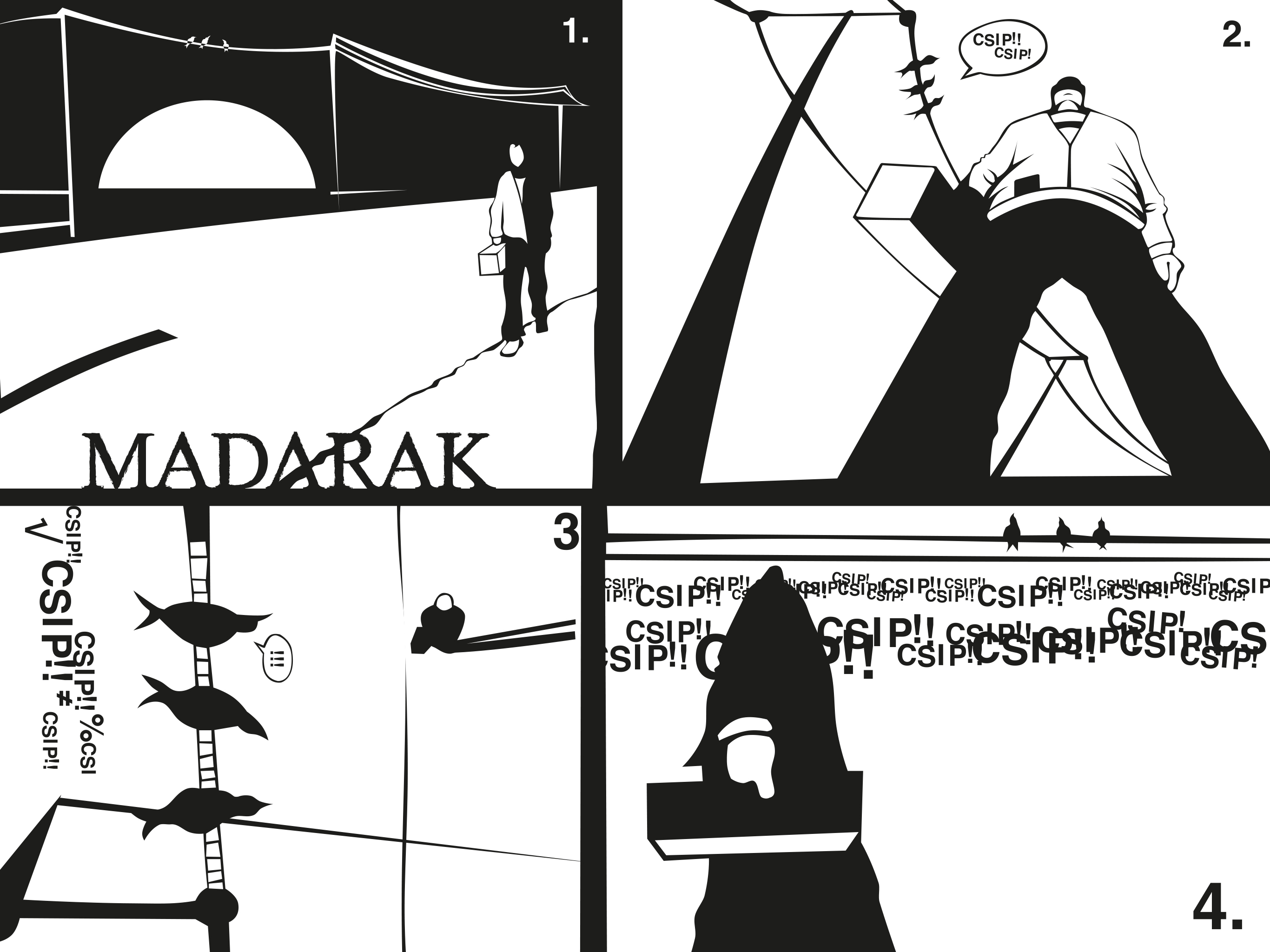Madarak_1
