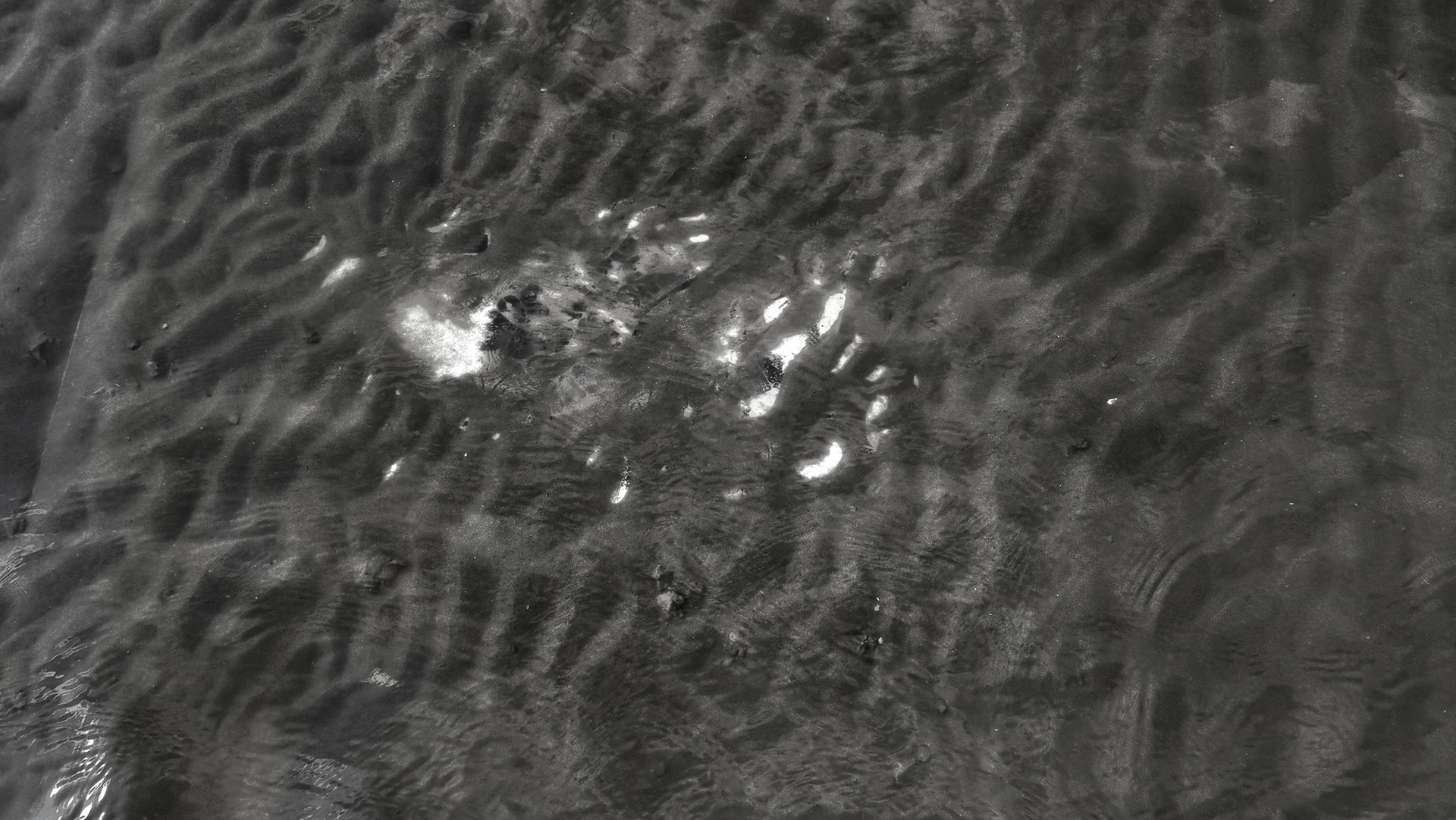 Oreg_01